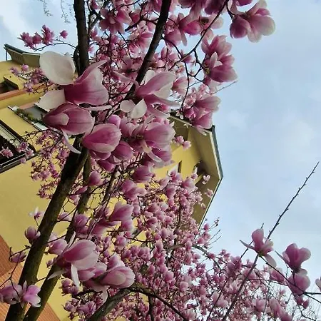 La Casa Blu- Forum Di Assago, Ospedale Humanitas, Milanofiori, Ieo Gæstehus Rozzano