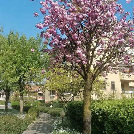 La Casa Blu- Forum Di Assago, Ospedale Humanitas, Milanofiori, Ieo * Rozzano
